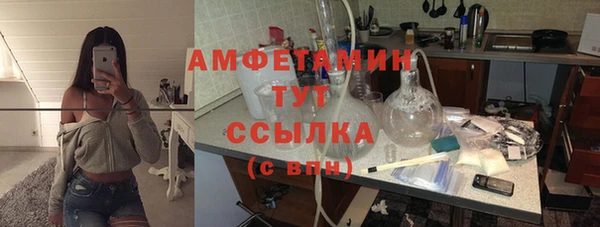 молекула духа Арсеньев