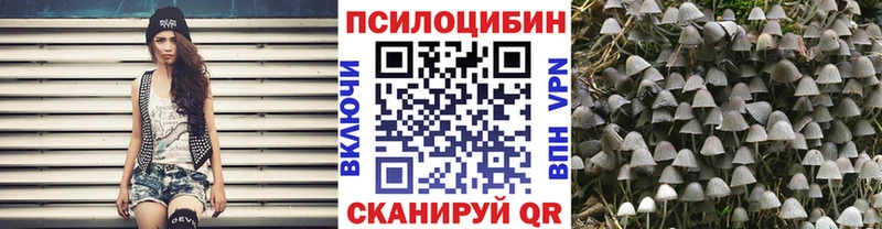 Псилоцибиновые грибы ЛСД  Сясьстрой 